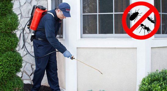 Alaca Kene İlaçlama böcek ilaçlama ve haşere kontrolü — ilaclama-tr.com